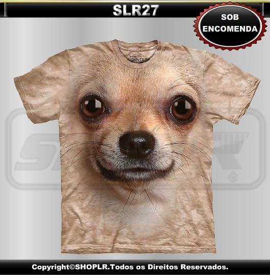 SLR27 - The Mountain - Chihuahua.