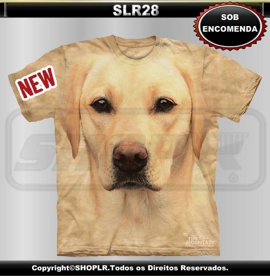 SLR28 - The Mountain - Labrador.